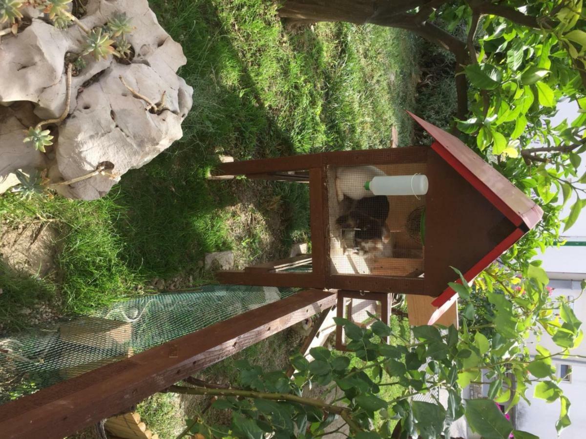 Apartmani Zorica Rab Town Luaran gambar